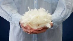 Dekbed Capella Luxe 15% Dons Winter -Slaap Comfort Verkoop Dekbed Select 15 dons 4 seizoenen