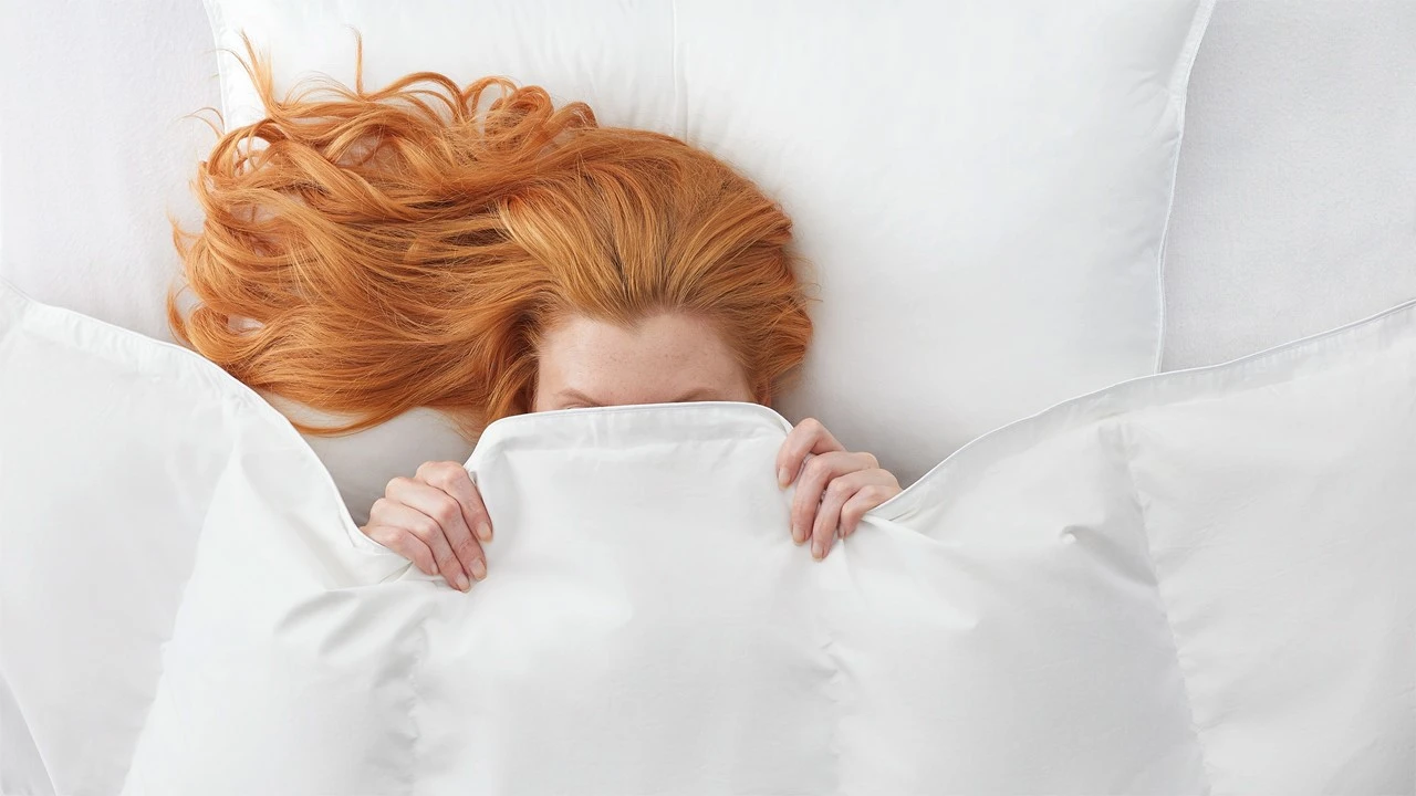 Dekbed Silvana Royale Light 100% Dons Zomer 3 Dekbed Silvana Royale Light 100% Dons Zomer - Afbeelding 3