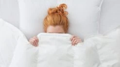 Dekbed Silvana Royale Medium 100% Dons Voor/najaar -Slaap Comfort Verkoop Dekbed Silvana Royale Medium 100 dons voor najaar 2