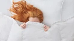 Dekbed Silvana Royale Medium Light 100% Dons Voor/najaar -Slaap Comfort Verkoop Dekbed Silvana Royale Medium Light 100 dons voor najaar 2