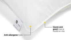 Hoofdkussen Bamboe 10 Hoofdkussen Bamboe -Slaap Comfort Verkoop Hoofdkussen Bamboe 3